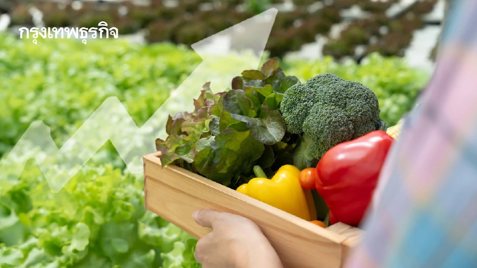 ตลาด ‘เกษตรอินทรีย์โลก’ พุ่ง 1.57 แสนล้านดอลลาร์ พลิกสู่โครงสร้างหลักระบบอาหารโลก