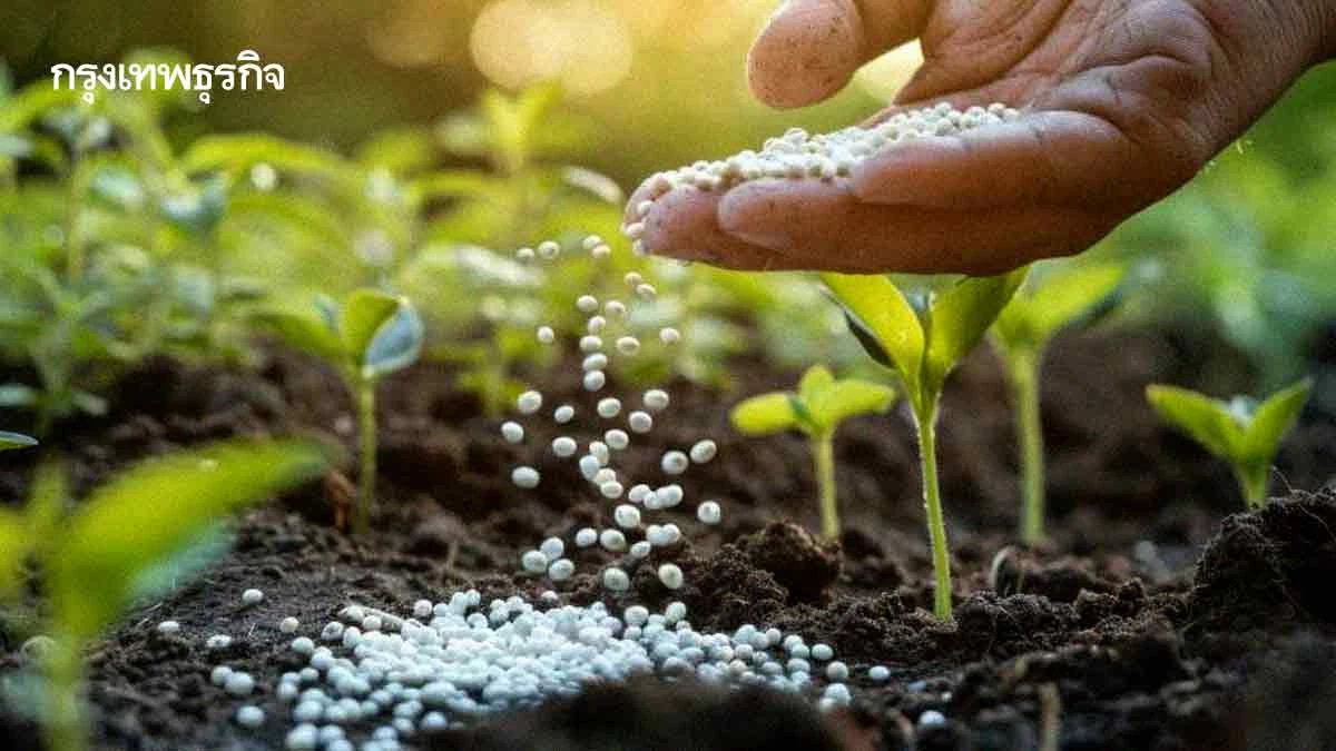 ‘ฤดูกาลเพาะปลูก’ ต้องการปุ๋ยเคมีอีก 1 ล้านตัน ‘สุริยะ’ ลุยเจรจา ‘รัสเซีย’ คู่ขนาดปราบแก๊งกักตุน