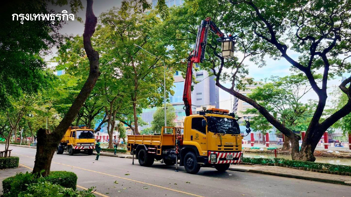 กทม. เตรียมพร้อมรับมือ 'พายุฤดูร้อน' รุกตัดแต่งต้นไม้ใหญ่เสี่ยงโค่นทั่วกรุง