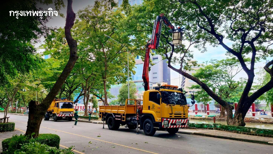 กทม. เตรียมพร้อมรับมือ 'พายุฤดูร้อน' รุกตัดแต่งต้นไม้ใหญ่เสี่ยงโค่นทั่วกรุง