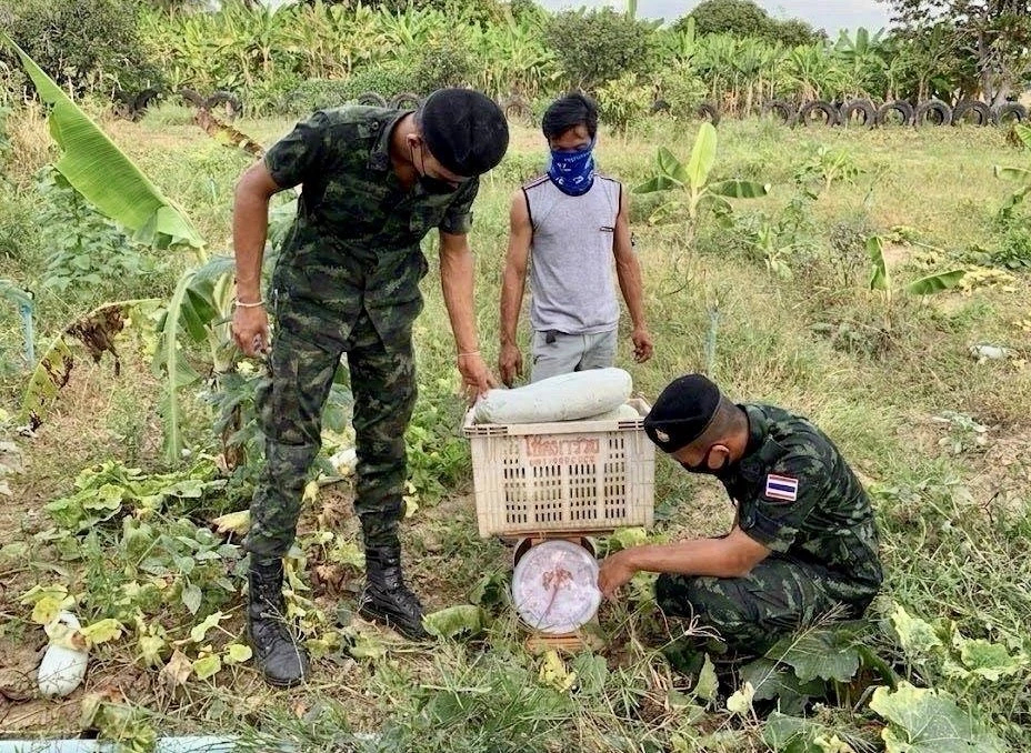 มทภ.1 นำร่อง รับซื้อผลผลิตเกษตร บรรเทาความเดือดร้อนประชาชน น้ำมัน-ปุ๋ย แพง