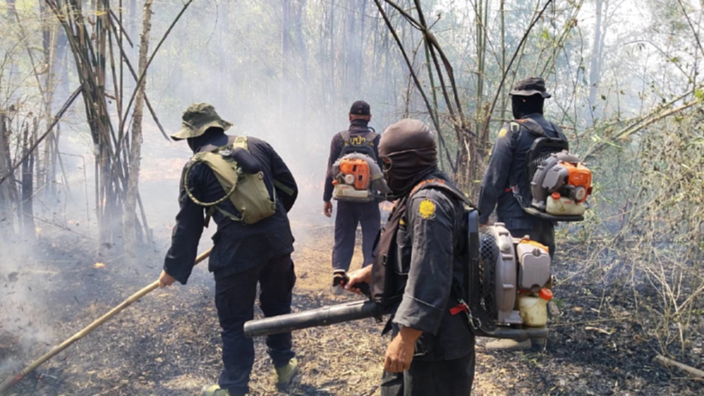 กรมป่าไม้ เคลียร์ปม 'เผาควบคุม' ลดความเสี่ยงไฟป่า 52,173 ไร่