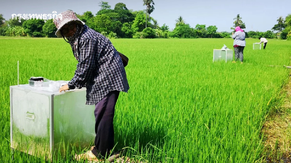 เกษตรไทยเจ๋ง ลดก๊าซฯ 3.4 ล้านตัน ทะลุเป้า มุ่ง Net Zero ปี 93