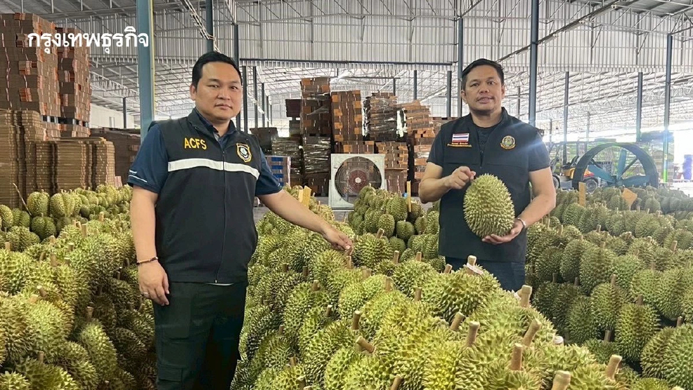 กำราบล้งแสบ มกอช. ตรวจทุเรียนอ่อน ผงาดมาตรฐานไทยสู่ระดับโลก