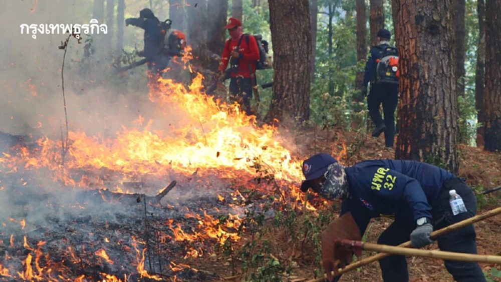 ระดมกำลังคุมไฟป่าภาคเหนือ ฮอตสปอตพุ่ง 17 จังหวัด ต้นตอ PM2.5 เอาผิดลักลอบเผา