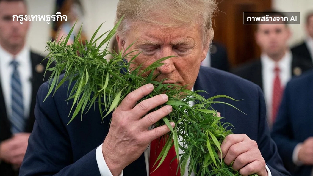 ทรัมป์ ‘ปลดล็อกกัญชา’ พลิกโฉมอุตสาหกรรม 4.7 หมื่นล้าน