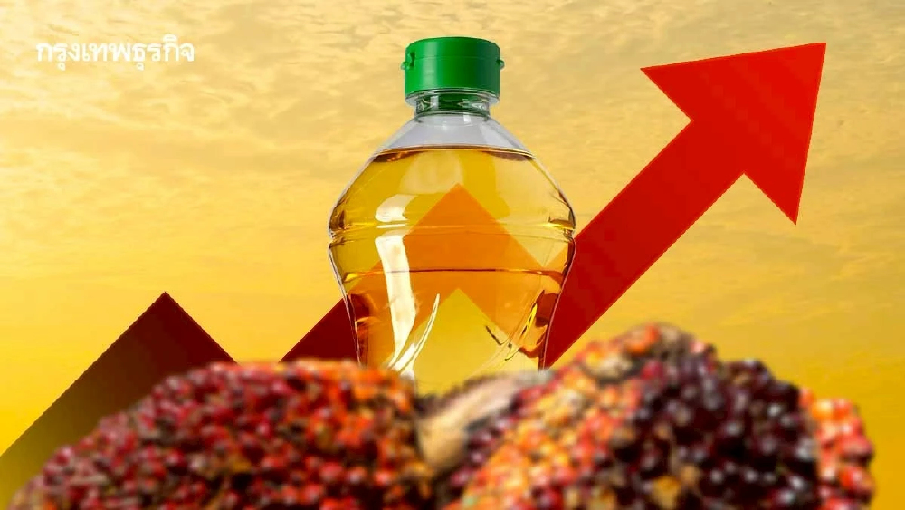 สงคราม ‘ลามถึงจานข้าว’ น้ำมันปาล์มจ่อ ‘แพงขึ้น 20%’