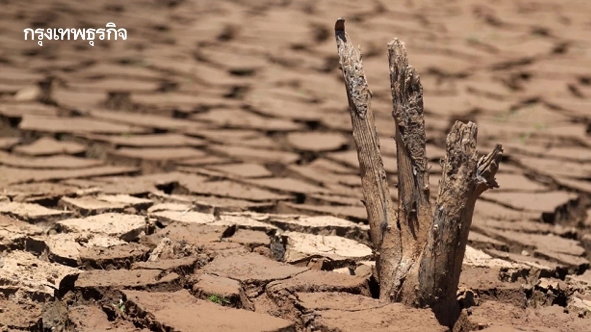 ‘เอลนีโญ’ พ่นพิษเสี่ยงแล้ง   ห่วงน้ำเขื่อนวูบเร่งปรับแผนด่วน