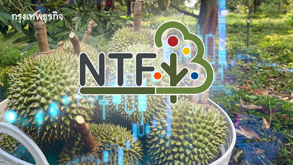 หุ้น NTF พุ่งแรง 11.18%  รับอานิสงส์ทุเรียนผลผลิตทะลัก โบรกคาดกำไร Q1/69 โตแกร่งถึง 3 เท่า