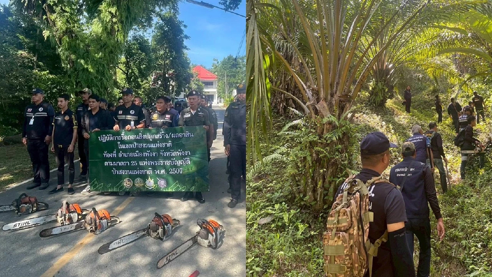 รื้อถอนทำลายผลอาสิน ยึดคืนผืนป่าสงวน 18 ไร่ เมืองพังงา