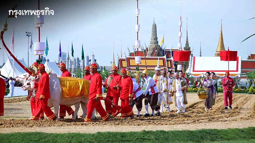 เริ่มแล้ว กษ. เปิดลงทะเบียนรับเมล็ดพันธุ์ข้าวพระราชทาน ปี 69 วันนี้ - 30 เม.ย.