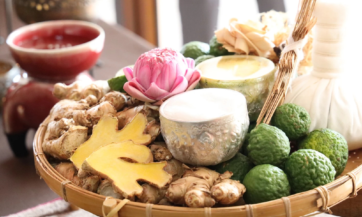 รุก Wellness โลก! เปิด "นวดโพธิ์-ล้านนา" ดันไทยสู่ศูนย์กลางสุขภาพ