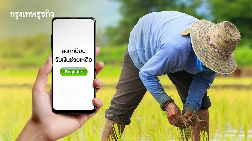 ลงทะเบียน เงินช่วยเหลือชาวนา ไร่ละ 2,240 บาท ธ.ก.ส. โอนตรง 67,200 บ.