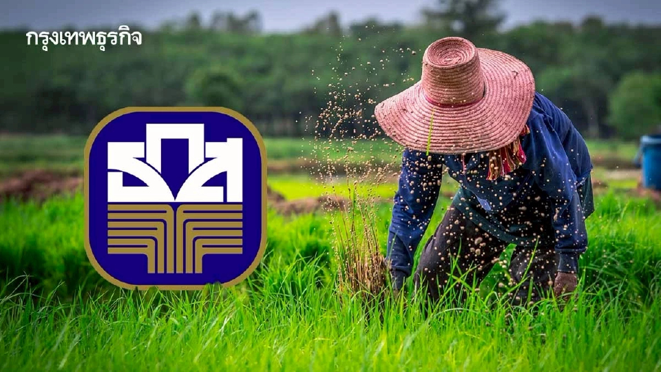 เปิดรายละเอียด ‘สินเชื่อดอกเบี้ยคนละครึ่ง’ เงื่อนไขใหม่ยกระดับเกษตรกร แลกลดภาระเงินกู้