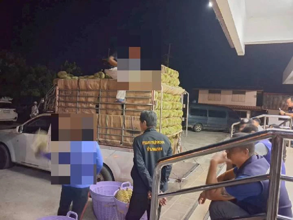 เข้มสกัดทุเรียนอ่อน ระยองตรวจสอบรถบรรทุกต้องสงสัย