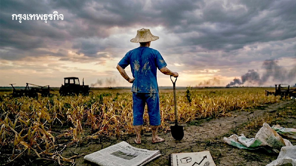 ‘ไทย’ใช้‘ปุ๋ยเคมี’120 กก.ต่อ 6.25 ไร่'ติดกลุ่มเสี่ยง ขาดแคลนปุ๋ย-ราคาอาหารพุ่งผลพิษสงคราม