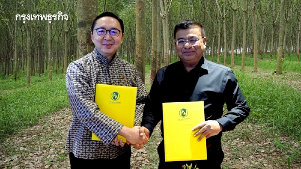 พลิกโฉมยางไทย กยท. ดีล AFMA จับมือ GFC  ยกระดับชาวสวนสู่มาตรฐานยั่งยืน