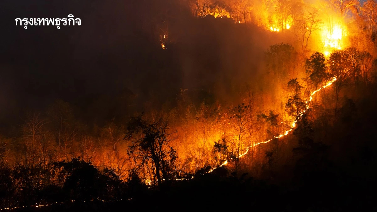 เชียงใหม่อากาศหนัก พบจุดความร้อน เผาพรึบ 83 จุด 'ดอยเต่า' ร้อนระอุ