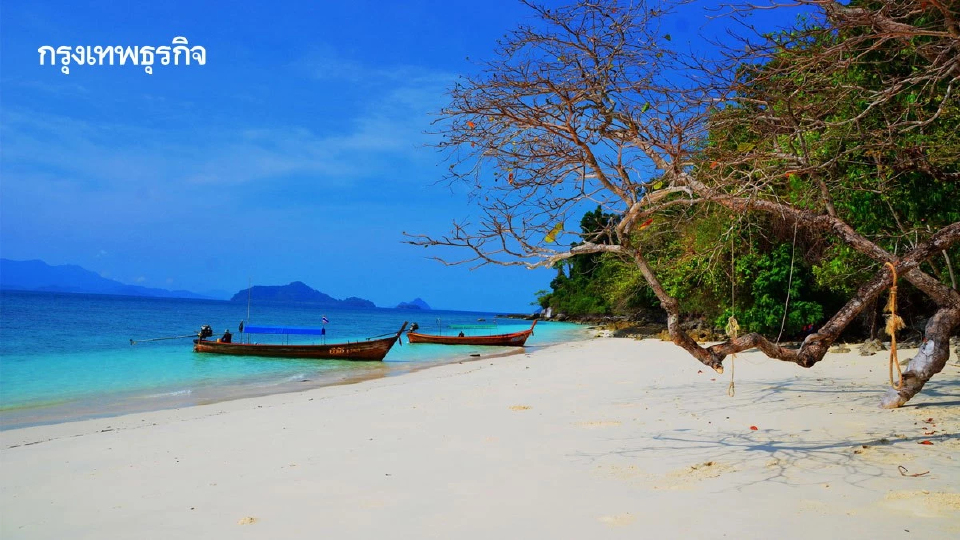 ค้างคืนบนเกาะกำ