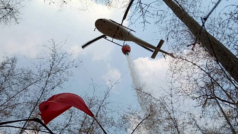 รัฐบาล สั่ง 'ปิดป่าทั่วประเทศ' สกัดไฟป่า-ฝุ่น PM2.5 ขั้นสูงสุด