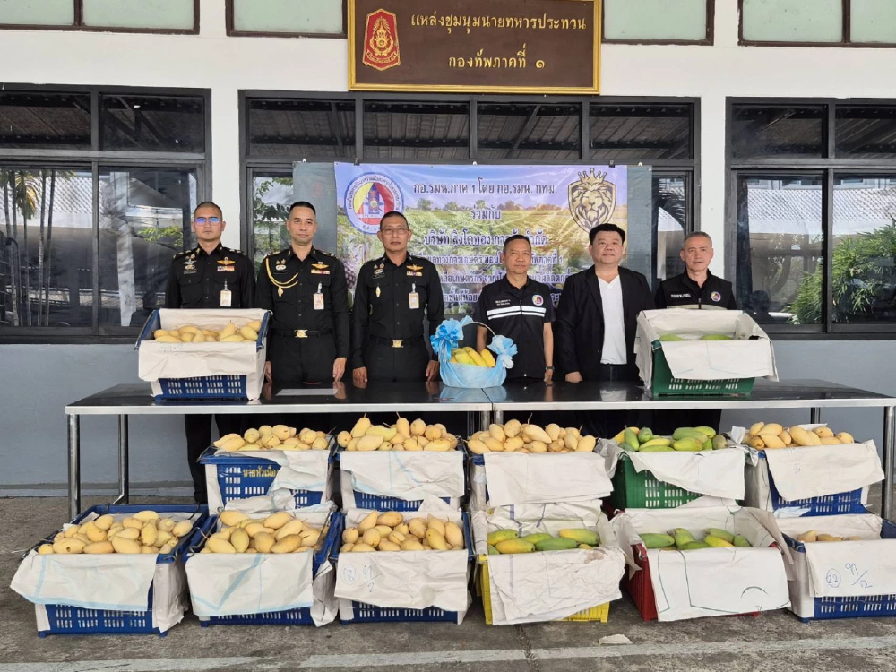 กอ.รมน.ภาค 1 ผนึกเอกชน รับซื้อมะม่วง ช่วยพยุงราคาหลังต้นทุนพุ่ง