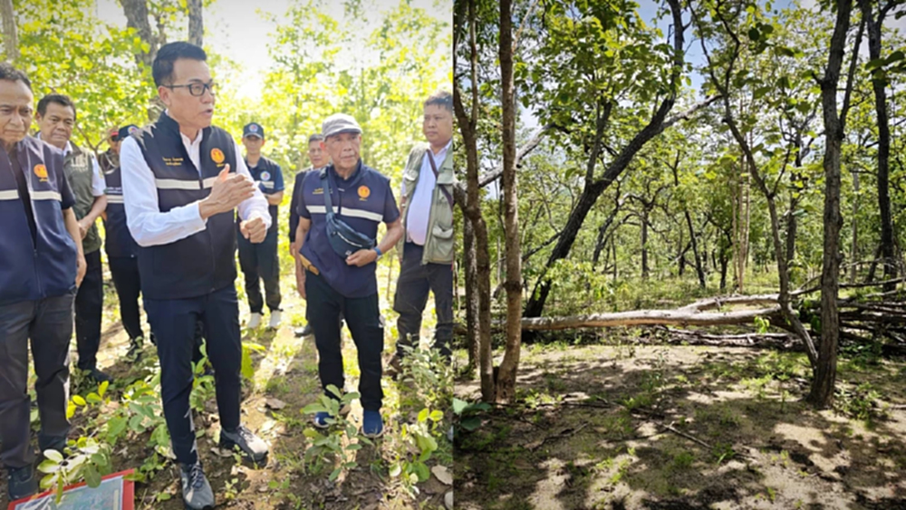 ปมโฉนดทับที่ป่าสงวน 3.5 หมื่นไร่ งานเข้าเจ้าหน้าที่รัฐ ชาวบ้านจ่อยื่นศาล