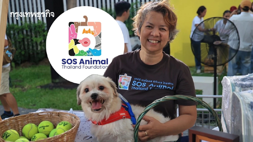 ‘SOS Animal Thailand’ กับภารกิจ 15 ปีหาบ้านให้สัตว์จรจัด เพื่อให้ทุกตัวได้เจอกับครอบครัวที่อบอุ่น