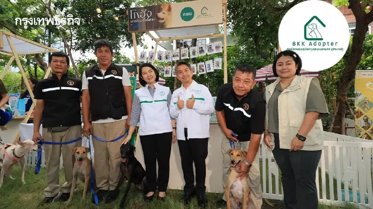 ‘BKK Adopter’ โครงการหาบ้านให้หมาจรของ ‘กทม.’ สร้างสังคมแห่งความเมตตา-รับผิดชอบอย่างยั่งยืน