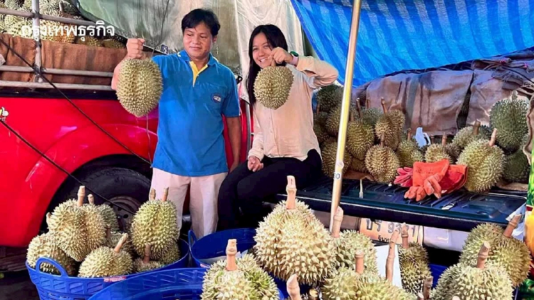 เปิดท้ายขายสด ‘กรมส่งเสริมการเกษตร’ ชวนชอปผลไม้ไทยคุณภาพดีที่ตลาดไท