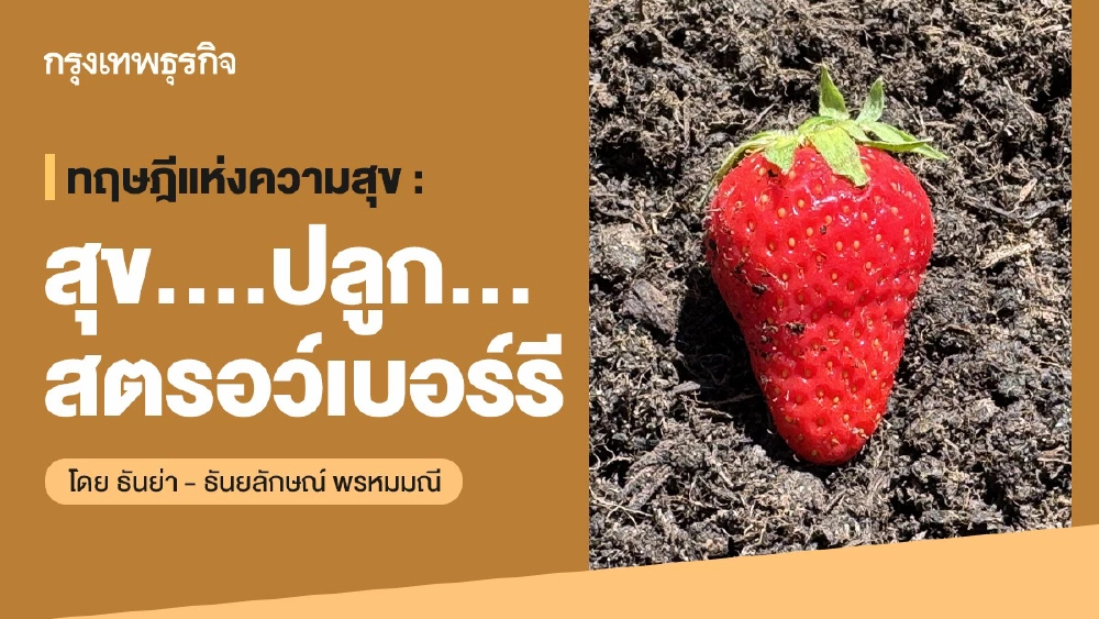 ทฤษฎีแห่งความสุข : สุข….ปลูก…สตรอว์เบอร์รี โดย ธันย่า - ธันยลักษณ์ พรหมมณี