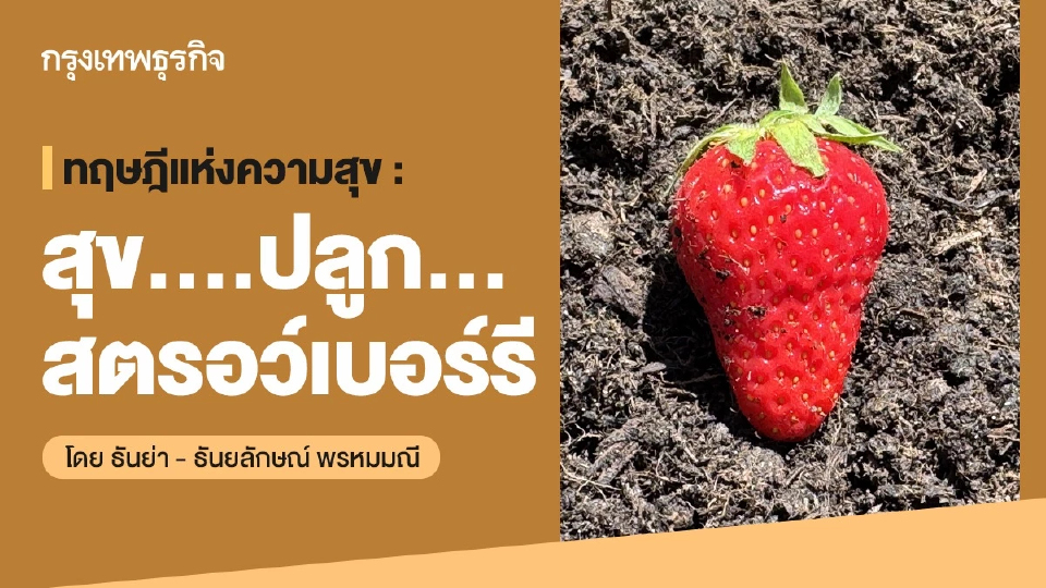 ทฤษฎีแห่งความสุข : สุข….ปลูก…สตรอว์เบอร์รี โดย ธันย่า - ธันยลักษณ์ พรหมมณี