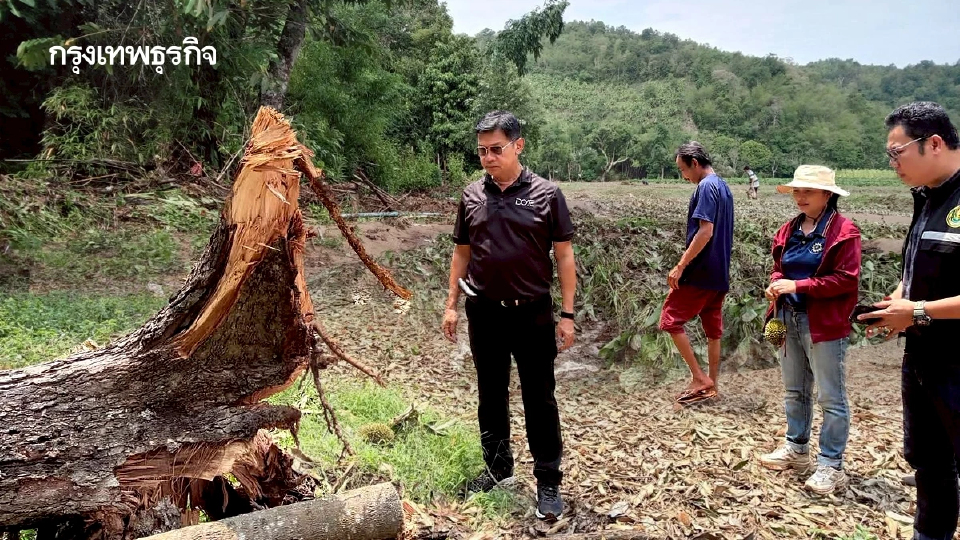 'โลกรวน' แต่เราต้องรอด.. 3 สเต็ปเกษตรกรชิงสิทธิเยียวยาให้ทันใจ