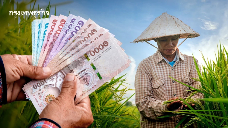 ขึ้นทะเบียนเกษตรกร 2569/70 ล่าสุด รัฐจ่ายเงินเยียวยาชาวนา ชาวไร่