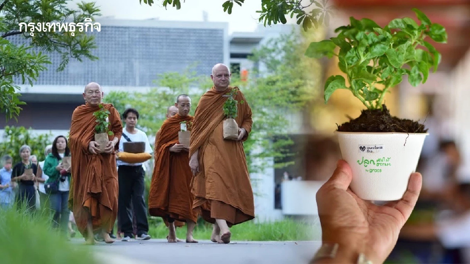 เวียนเทียนต้นไม้ วันวิสาขบูชา : ธรรมะ  ธรรมชาติ และความผูกพันกับต้นไม้