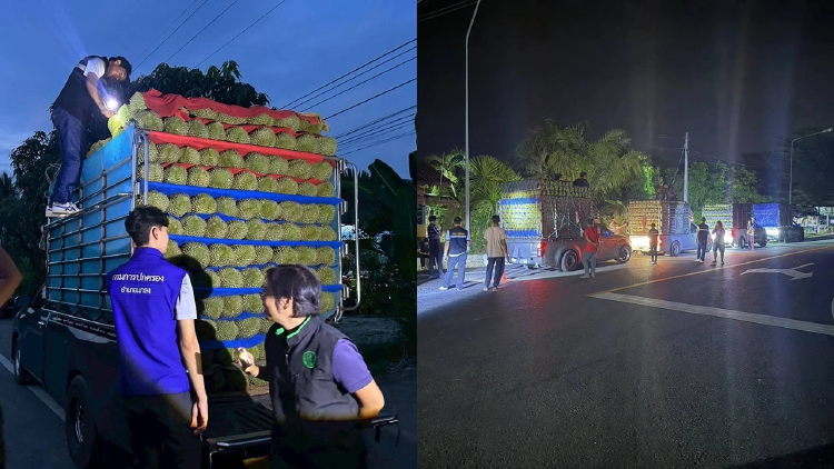 ตั้งจุดตรวจสกัดทุเรียนอ่อน คุมเข้มคุณภาพก่อนออกสู่ตลาด