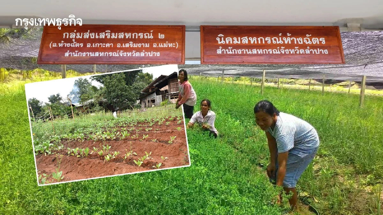 นิคมสหกรณ์ปี 69 รายได้พุ่ง 7 เดือนกวาด 9 ล้าน มั่นใจทั้งปีทะลุเป้า