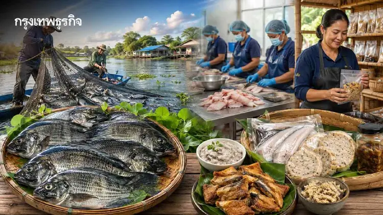 กลยุทธ์เปลี่ยน“ปลาหมอคางดำ”จากปัญหาสู่รายได้ ดันแปรรูป-รับซื้อ เติมมูลค่าเศรษฐกิจชุมชน
