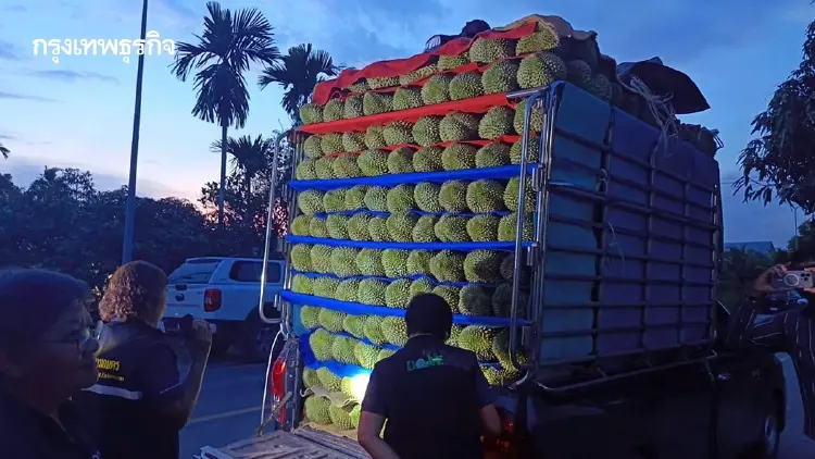 สกัดทุเรียนอ่อน เกษตรฯลุยตะวันออก คุมเข้มคุณภาพสร้างความเชื่อมั่น