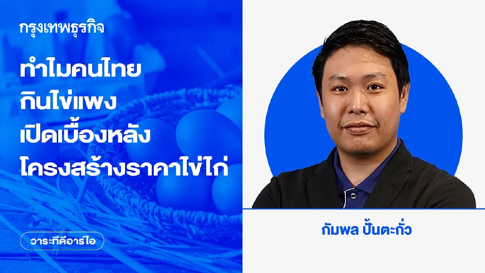 ทำไมคนไทยกินไข่แพง เปิดเบื้องหลังโครงสร้างราคาไข่ไก่