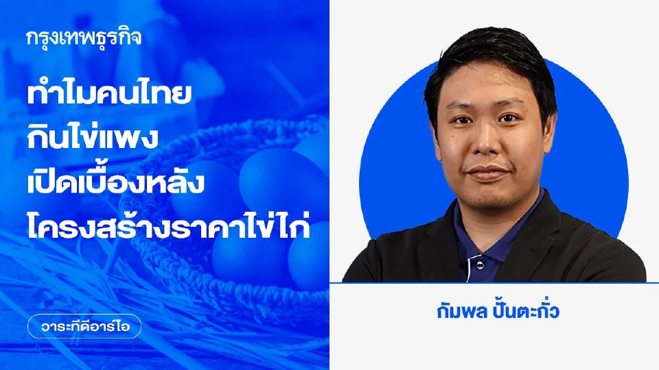 ทำไมคนไทยกินไข่แพง เปิดเบื้องหลังโครงสร้างราคาไข่ไก่
