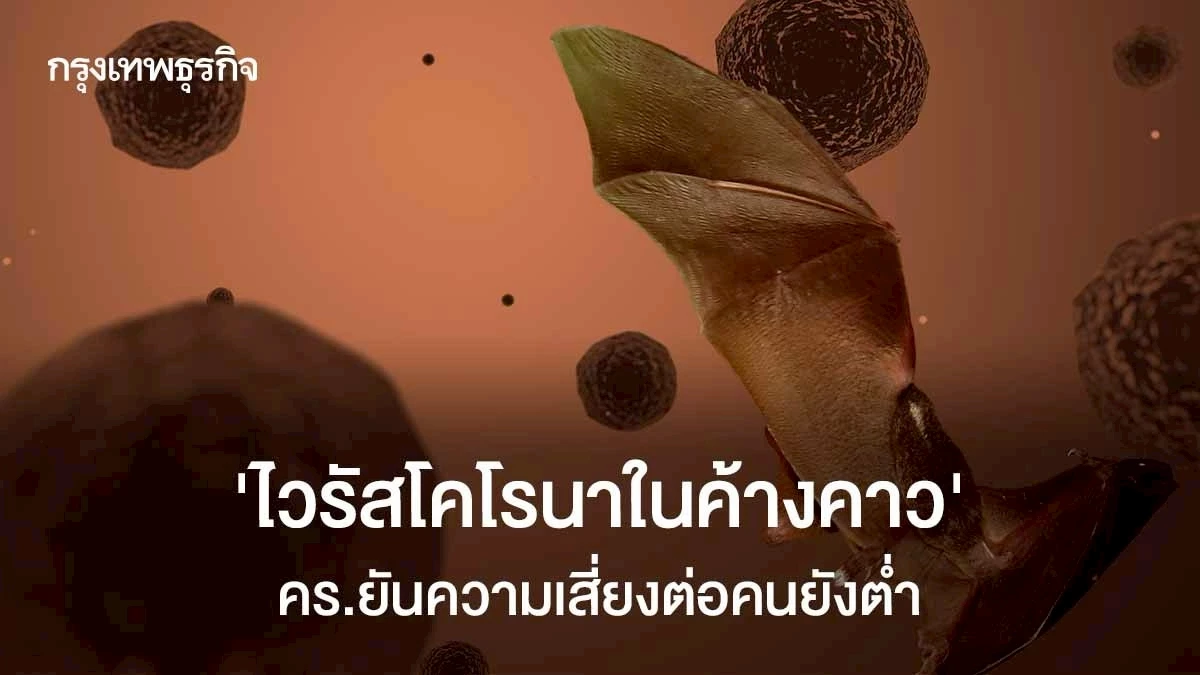 ไวรัสโคโรนา ในค้างคาว’ คร. ยันความเสี่ยงต่อประชาชนยังต่ำ – bangkokbiznews