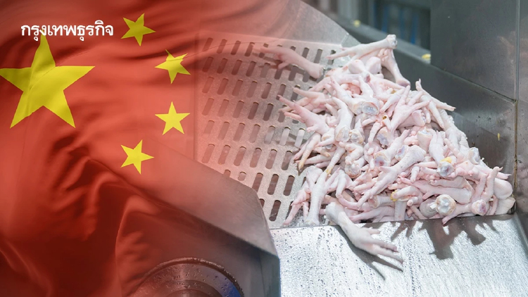 ส่องอุตสาหกรรม 'ตีนไก่จีน' ปฏิวัติสู่อุตสาหกรรมสีเขียว รับนโยบายคาร์บอนต่ำ