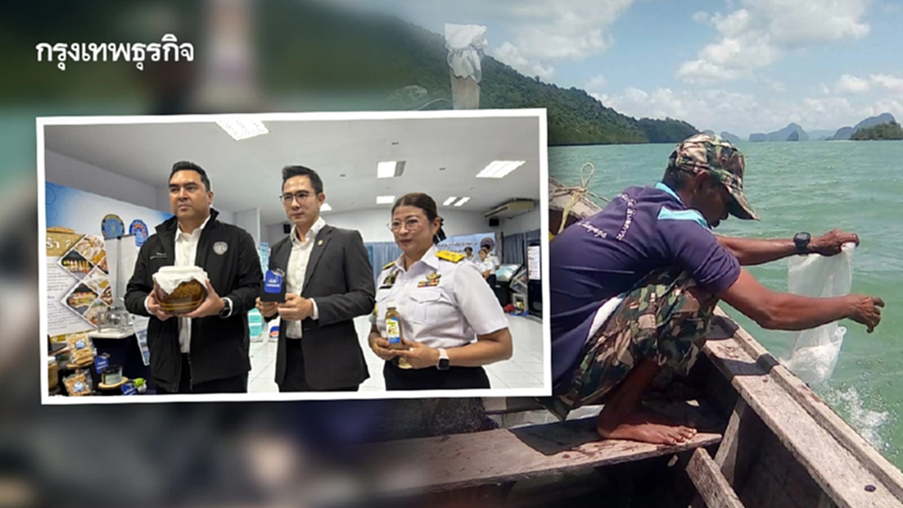 พลิกโฉมประมงไทย ดันนวัตกรรมอัจฉริยะกู้วิกฤตแลกเปลี่ยนลดต้นทุน