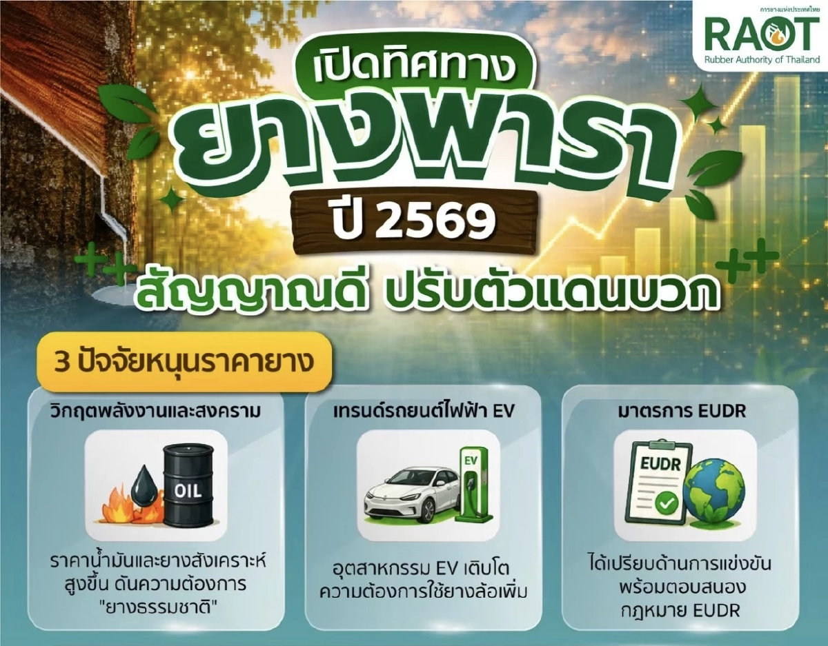 กยท.ชี้ปัจจัยเสี่ยง ส่งผลราคายางปลายปี 69-ต้นปี 67 คาด‘เอลนีโญ’ อาจเป็นสัญญาณบวก