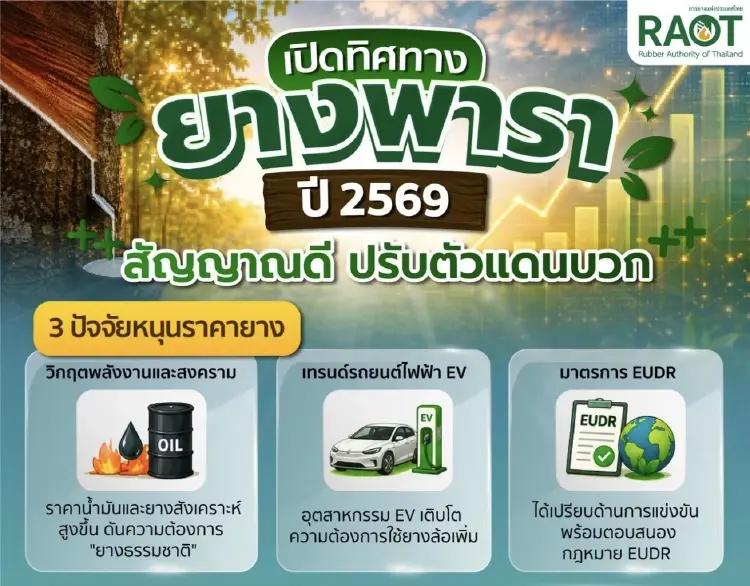 กยท.ชี้ปัจจัยเสี่ยง ส่งผลราคายางปลายปี 69-ต้นปี 67 คาด‘เอลนีโญ’ อาจเป็นสัญญาณบวก