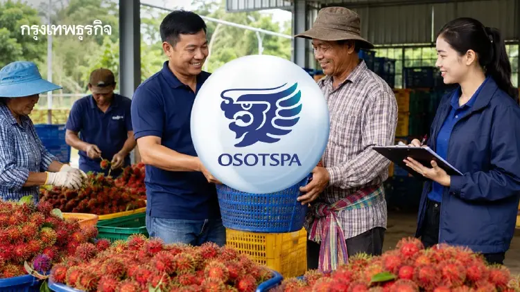 'OSP' รับซื้อเงาะ 2.7 ตัน จากเกษตรกร  แก้ปัญหาผลผลิตล้นตลาด-กระจายรายได้