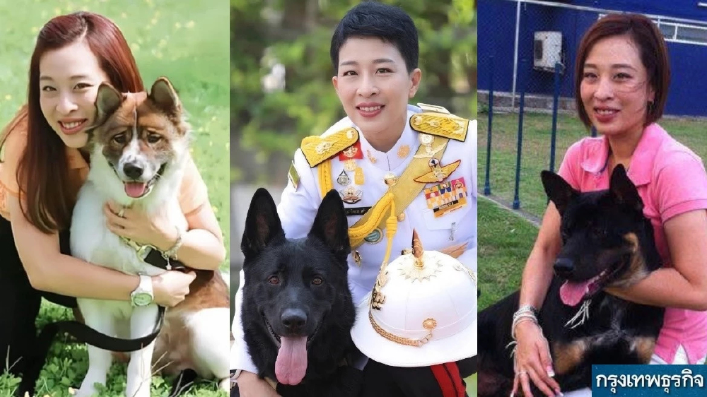 เรื่องราว 5 สุนัขทรงเลี้ยง "พระองค์ภา" สะท้อนพระเมตตาไร้ข้อจำกัด