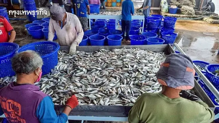 กรมประมงนำทีมอาเซียน ติวเข้ม CAPFISH สกัดประมงผิดกฎหมาย
