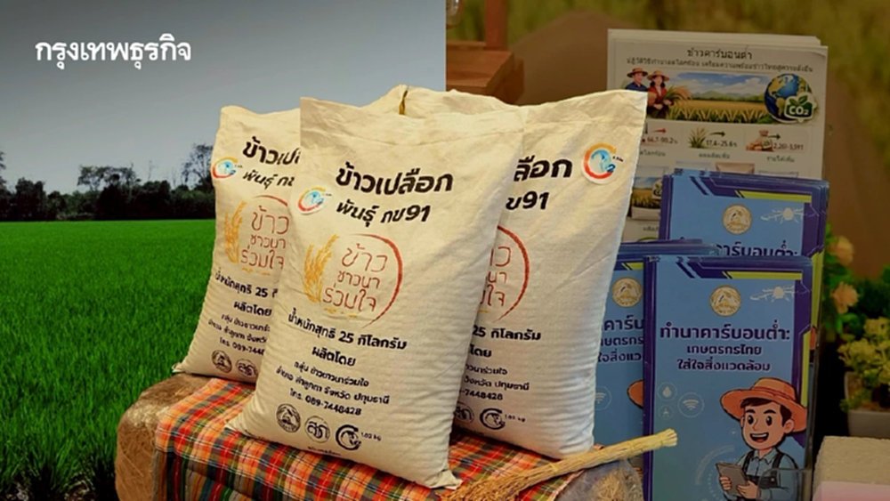 ศูนย์วิจัยข้าวอยุธยาลุย นำร่อง ข้าวคาร์บอนต่ำ 8 จังหวัดภาคกลาง