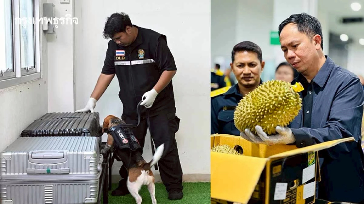 เกษตรฯ ยกระดับด่านสุวรรณภูมิ ตรึงมาตรฐานส่งออกแสนล้าน